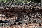 Ta Som temple - laterite walls